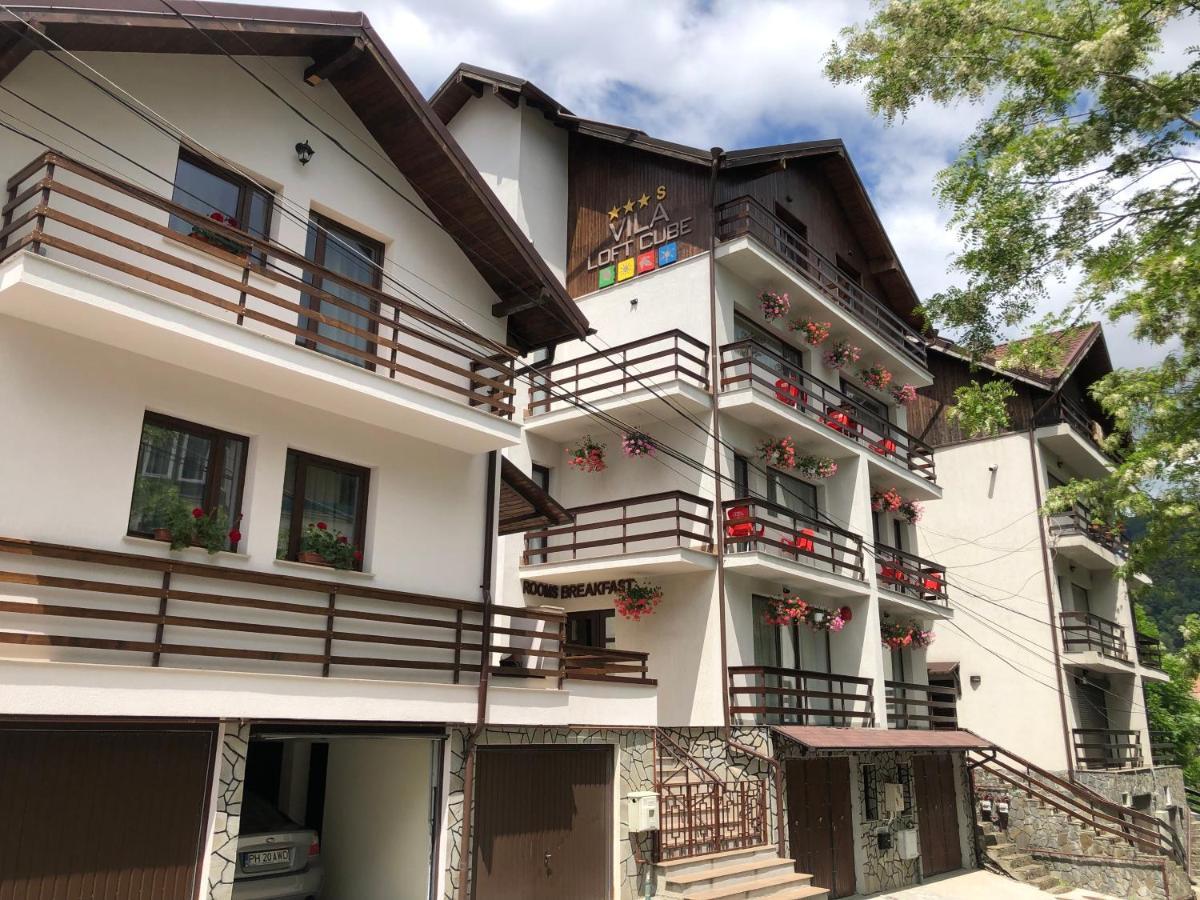 سِنايا Vila Loft Cube المظهر الخارجي الصورة
